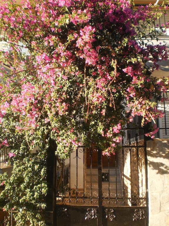 Zavrakli Apartment Агия Параскеви Екстериор снимка